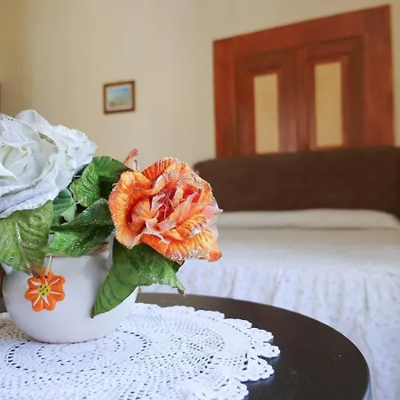 Guest house Domus Gemi 3*